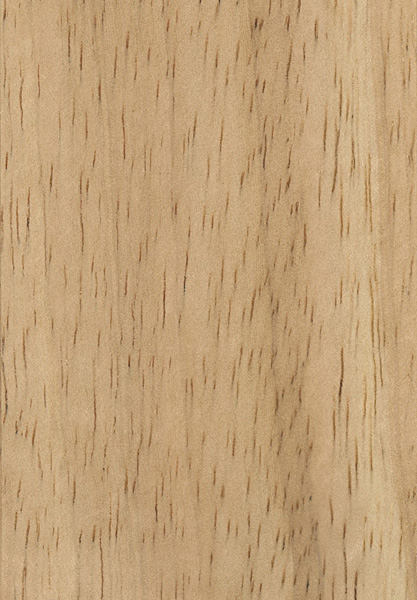 Rubberwood